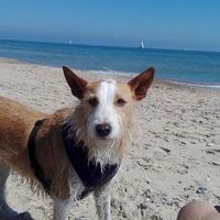 Edgar Carrillo的照片