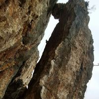 Veronika Horvat's Photo