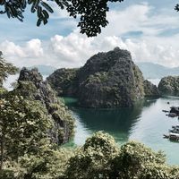 Alexander David's Photo