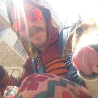 Zdjęcia użytkownika Matt Stoker