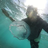 Brett Highley的照片