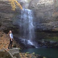 Zdjęcia użytkownika Jasmine Michaeli