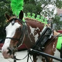 Christine Piorkowski的照片