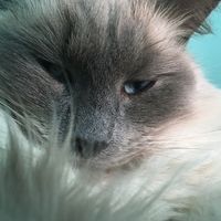 Brianna  Cote's Photo