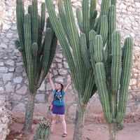 Adria Castro的照片