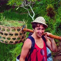 William Alexander的照片