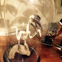 Fotos de Jack Heseltine