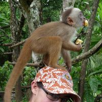 marie-pauline dessert的照片