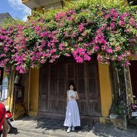 Hướng Dương的照片