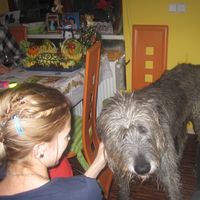 Verca Borisova's Photo