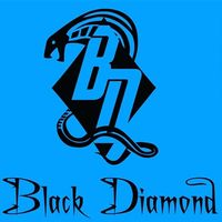 Black Diamond Billiards's Photo