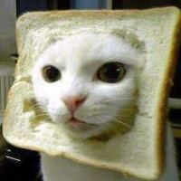 Xavo Espinoza's Photo