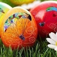 Zdjęcia użytkownika Vishal Jassal