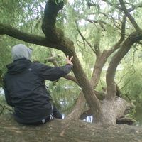 Severin Mahr的照片