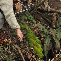 Eva Pema Lucidia Dream  Dragon's Photo