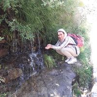 Fotos de Azadeh Abasnezhad