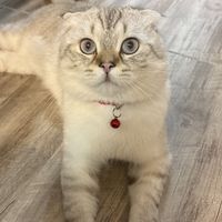 Maryam Zarati's Photo