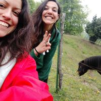 Fotos de Alice Zenone