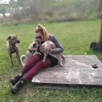 Zdjęcia użytkownika Camila Maquiavelo