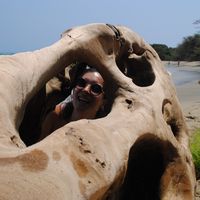 sara ocampo的照片