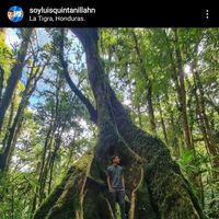 Luis Quintanilla's Photo