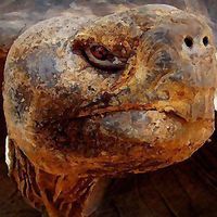 Edison Encalada的照片