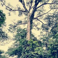 Germán Dabezies's Photo