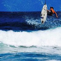 Elijah Woolley的照片