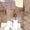 Anna Mascaro's Photo