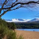 Bilder von Cairngorms Trip