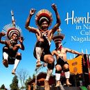 Immagine di Hornbill Festival 