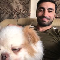 Photos de Navid Vafaei