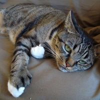 Olympe Dujardin的照片