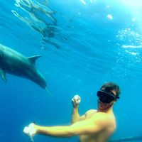 Paul Guyonnet的照片