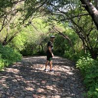 Zdjęcia użytkownika Ramon Pizaña