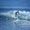 Brad Applegate's Photo