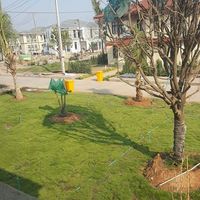 Photos de Jinchang Lin