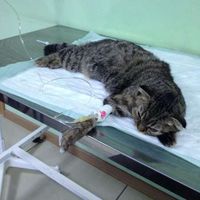 hajar ettazi's Photo