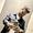 Sagar Navale's Photo