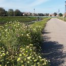 Hike | Oued El Harrach's picture