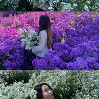 Martya Rach的照片