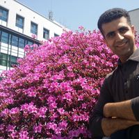 Hossein Minouei's Photo