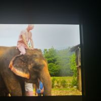 Robert Mothersell's Photo