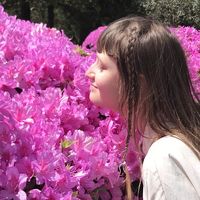 Photos de Natalia Musikhina