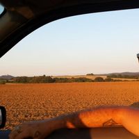 Lucas Dascher的照片