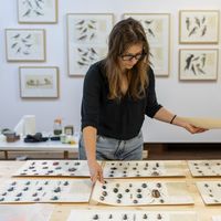 Mauka Mirkery's Photo