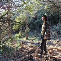 Tal Rosenberg的照片