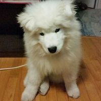 Fotos de Kevin Rochon