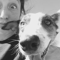 Fotos de Judit Voilà