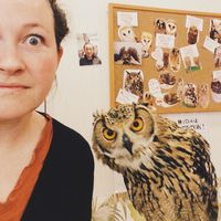 Zdjęcia użytkownika Essa Wiseman